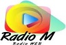 Radio M 95.1 FM Mar del Plata